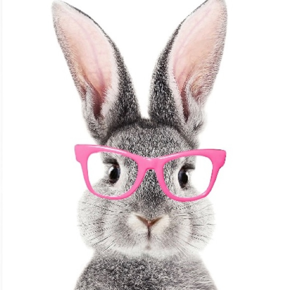 Meet your Posher, Bunny